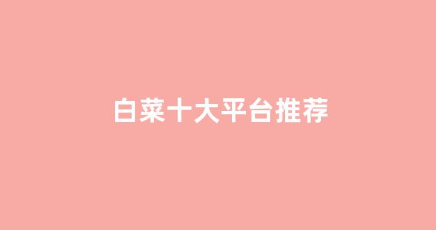 白菜公司下载
